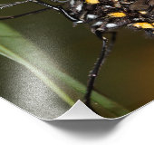 Farben eines Zebra-Langings Fotodruck (Ecke)