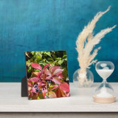 Farben Fotoplatte (InSitu)