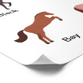 Farben für Pferde Poster (Ecke)