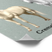 Farben für Pferde Poster (Ecke)