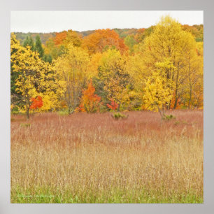 "FARBEN/HERBSTLAUBE" Leinwand-Glanzdruck Poster