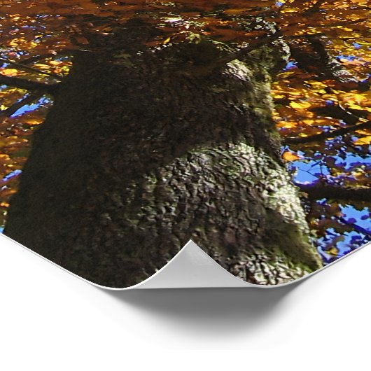 Farben im Herbst Poster (Ecke)
