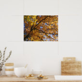 Farben im Herbst Poster (Küche)