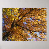 Farben im Herbst Poster (Vorne)