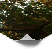 Farben im Herbst Poster (Ecke)