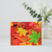 Farben im Herbst Postkarte (Stehend Vorderseite)