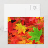 Farben im Herbst Postkarte (Vorne/Hinten)
