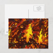 Farben im Herbst Postkarte (Vorne/Hinten)