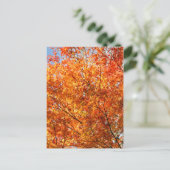 Farben im Herbst Postkarte (Stehend Vorderseite)