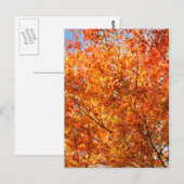 Farben im Herbst Postkarte (Vorne/Hinten)