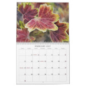 Farben in der Natur Art Kalender (Feb 2027)