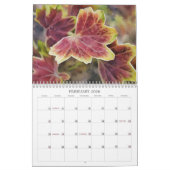 Farben in der Natur Art Kalender (Feb 2026)