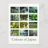 Farben Japans (grün) Postkarte (Vorderseite)