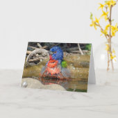 Farben-Karte Karte (Gelbe Blume)