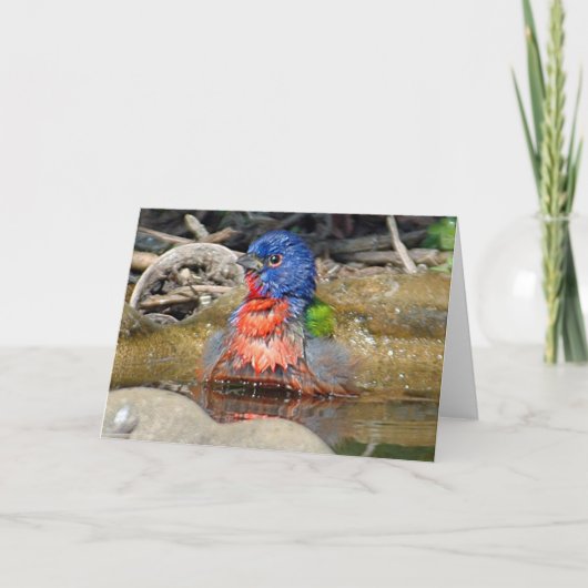 Farben-Karte Karte (Vorderseite)