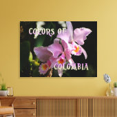 Farben Kolumbiens Cattleya Orchid Leinwanddruck (Insitu (Wohnzimmer))