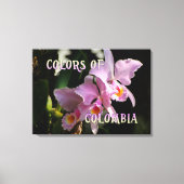 Farben Kolumbiens Cattleya Orchid Leinwanddruck (Vorderseite)