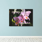 Farben Kolumbiens Cattleya Orchid Leinwanddruck (Insitu (Holzboden))