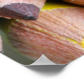 Farben Poster (Ecke)