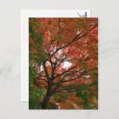 Farben Postkarte (Vorne/Hinten)