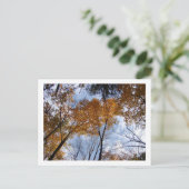 Farben und Himmel Postkarte (Stehend Vorderseite)