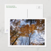 Farben und Himmel Postkarte (Vorne/Hinten)