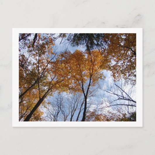 Farben und Himmel Postkarte (Vorderseite)
