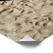Farben und Schatten am Strand Poster (Ecke)