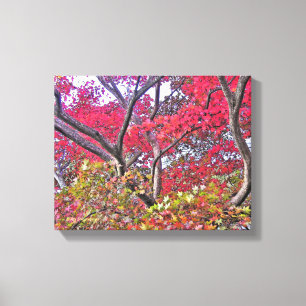 FARBEN VON FALL/BAUM MIT FARBEN BLÄTTER LEINWANDDRUCK