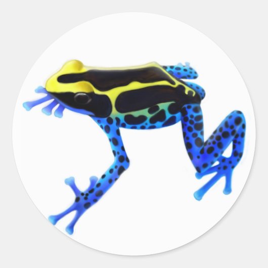 Färben von Giftfrosch Runder Aufkleber (Vorderseite)