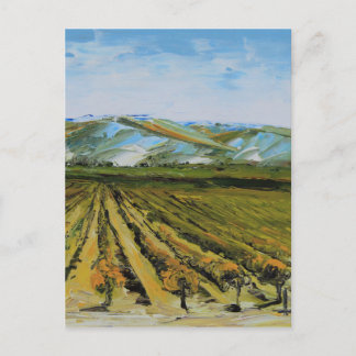 Farben von Napa Valley, Wein-Land Kalifornien Postkarte