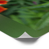 Farben von Summen Poster (Ecke)