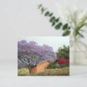 Farben von Up Country Maui Postkarte (Stehend Vorderseite)