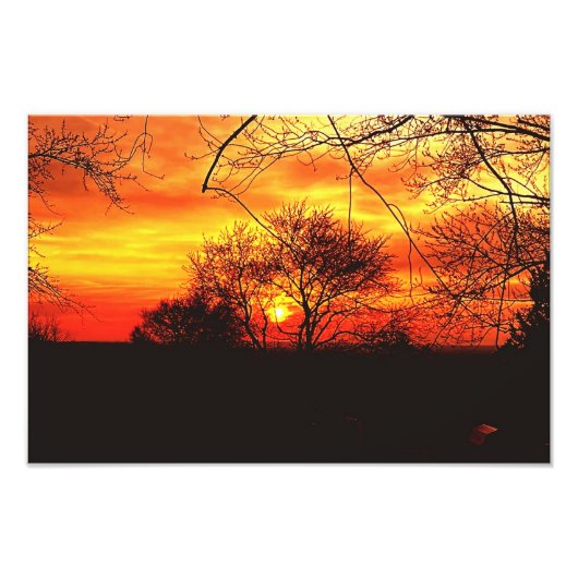 FARBENBEDINGTE NATUREN FOTODRUCK (Vorne)