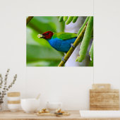 Farbenblende Poster (Küche)