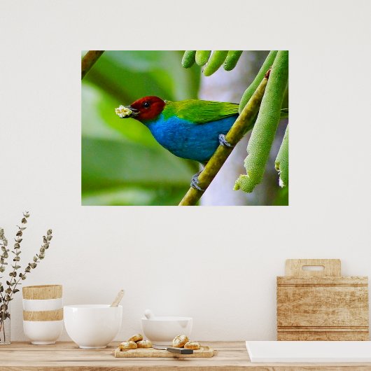 Farbenblende Poster (Küche)