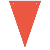 Farbenbogen Wimpelkette (Erste Fahne)