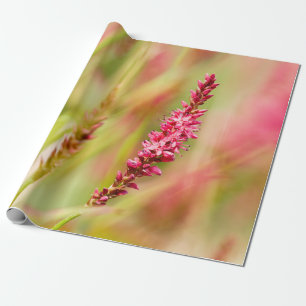 Farbenbusch Geschenkpapier