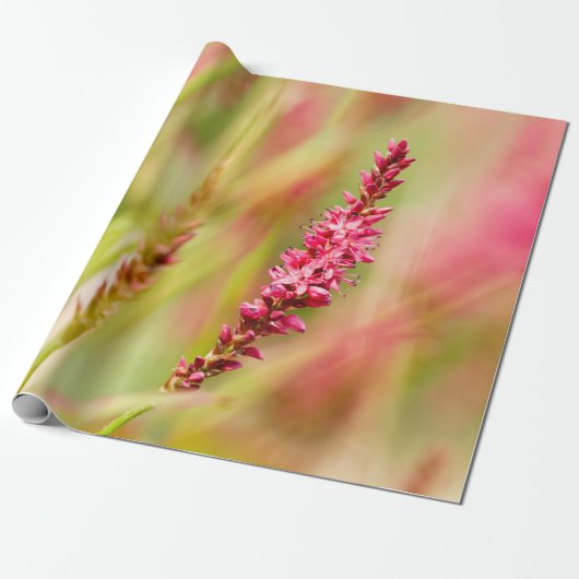 Farbenbusch Geschenkpapier (Ungerollt)