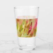 Farbenbusch Glas (Vorderseite)