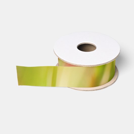 Farbenbusch Ripsband (Spule)