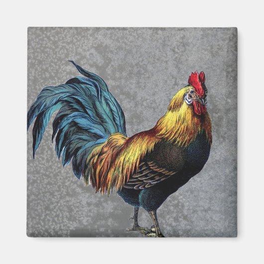 Farbenfroh Bantam Rooster Magnet (Vorne)