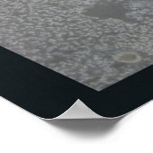 Farbenfroh Bantam Rooster Poster (Ecke)