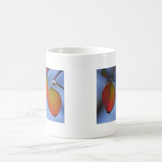 Farbenfroh beleuchteter Herbstleaves Trio Kaffeetasse (Mittel)