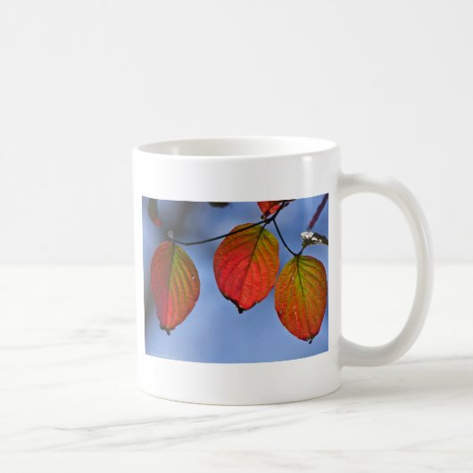 Farbenfroh beleuchteter Herbstleaves Trio Kaffeetasse (Rechts)
