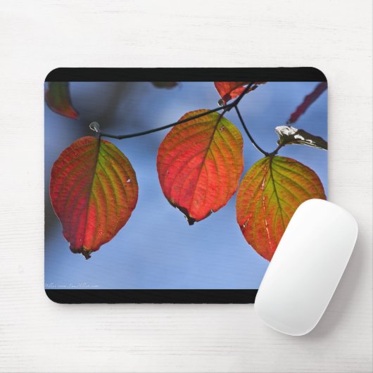 Farbenfroh beleuchteter Herbstleaves Trio Mousepad (Mit Mouse)