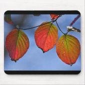 Farbenfroh beleuchteter Herbstleaves Trio Mousepad (Vorne)