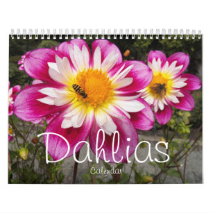 farbenfroh Dahlias floral fotografisch Kalender