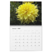 farbenfroh Dahlias floral fotografisch Kalender (Jan 2027)