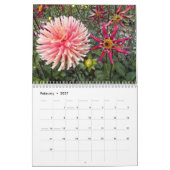 farbenfroh Dahlias floral fotografisch Kalender (Feb 2027)